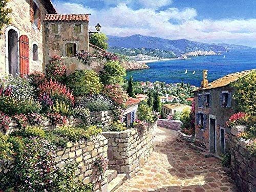 Bluehurric Stickpackungen Kreuzstich Set Vorgedruckt erwachsene anfanger Mediterrane Landschaft Kreuzstich Stickerei Starter Set DIY Stickbild Handwerk 11CT Geschenk Heimdekoration(16×20inch von Bluehurric