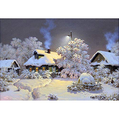 Kreuzstich Stickerei Set Vorgedruckt erwachsene anfanger Winterlandschaft Kreuzstich für Anself DIY Starter Stickbild Handwerk11CT Geschenk Heimdekoration(16×20inch） von Bluehurric