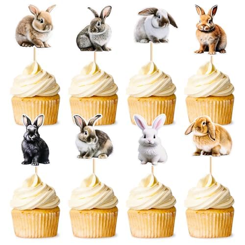 Blumomon 32 Stück Kaninchen Cupcake Dekoration Kuchen Geburtstag Kinder Wilde Dschungel Tiere Thema Geburtstagsfeier Zubehör für Feier Party Babyparty von Blumomon