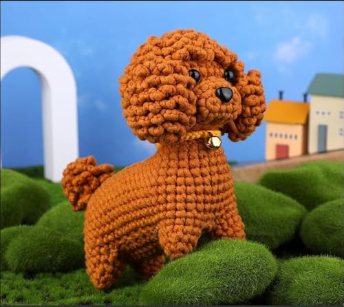 BoloShine Häkelset für Anfänger Erwachsene, Stricken Amigurumi Set mit Wolle und Häkelnadel, Crochet Kit Häkelnadel Bastelset Tiere DIY Schlüsselanhänger, mit Tutorial-Video und Anleitung - Teddy von BoloShine