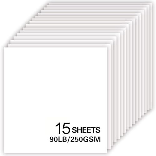 15 Blatt weißes Kartonpapier, 30,5 x 30,5 cm, für Cricut, dickes Konstruktionspapier für Kartenherstellung, Scrapbooking, Basteln, 250 g/m² (weiß) von Bonmiy