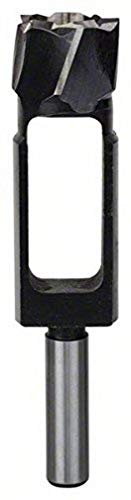 Bosch Accessories Professional Scheibenschneider Zapfenfräser (Ø 20 mm) von Bosch