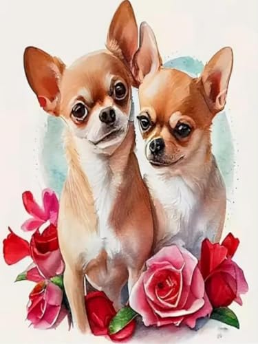 Brennora 11CT Vorgedrucktes Kreuzstich-Set für Erwachsene und Anfänger DIY Stickbilder für Wandkunst-Heimdekoration Chihuahua 40x50 cm von Brennora