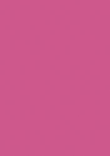 Brunnen 105125026 Universalpapier, A4, 50 Blatt, 80 g/m², fuchsia von Brunnen