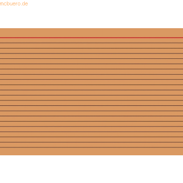 Brunnen Karteikarten A5 liniert orange VE=100 Stück von Brunnen