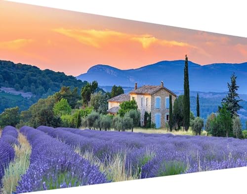 5D Diamond Painting Lavendel Diamond Art Landschaft Diamant Painting Bilder, Diamond Painting Erwachsene Groß XXL 30x60cm Round Diamond Painting Set für Wohnzimmer Schlafzimmer Wanddeko Geschenk p-H von Bugufen