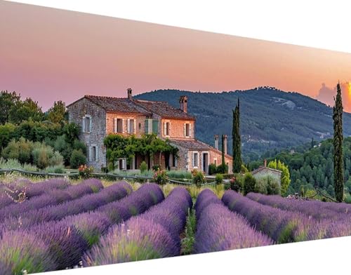 Lavendel Diamond Painting Bilder, 5D Diamond Painting Landschaft Daiments Painting Erwachsene Groß 40x80cm Quadrat Diamond Art Painting Kinder Stickerei Kreuzstich Set, Wand Zimmer Deko Aesthetic 5-E von Bugufen