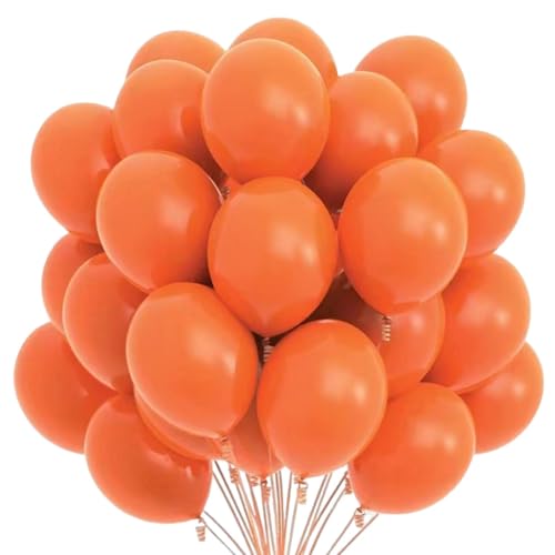 Buhjnmik Latexballons - Starke Latexballons | 10 Zoll Matte Luftballons Set für Hochzeit Abschlussfeier Babyparty Geburtstag Party Dekorationen von Buhjnmik