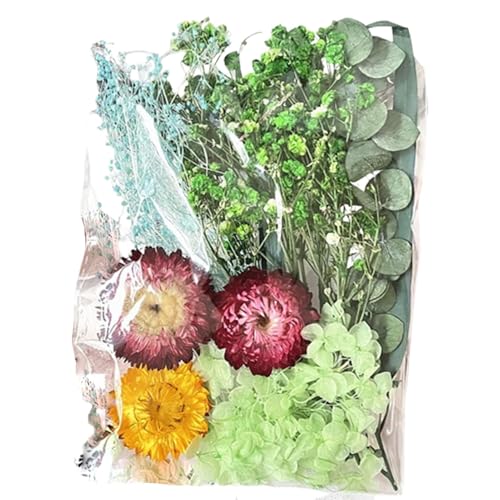 Buhjnmik Trockenblumen-Bastelarbeiten, Trockenblumen-Pakete - Bastelzubehör Hochzeit Trockenblumen-Mittelstück - Dekorative getrocknete Blumen, farbenfrohe Journaling-Blumendekoration, von Buhjnmik