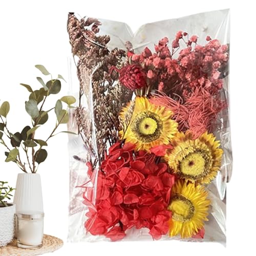 Buhjnmik Trockenblumen zum Basteln,Trockenblumen-Bastelarbeiten - Bastelzubehör Trockenblumen-Set für Hochzeitsdekoration - Journaling Blumendekoration, farbenfrohe, vielseitige von Buhjnmik