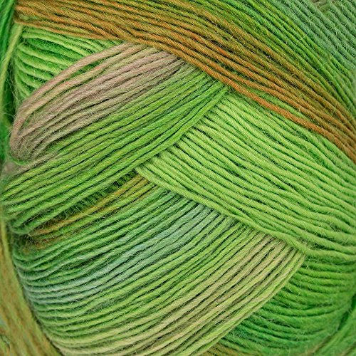 Lang Yarns NEU! 100g Jawoll Magic Degrade 4-Fach Fb.116 Sockenwolle 89,50?/kg von Butterfly