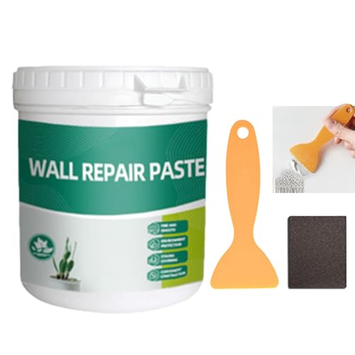 Bvizyelck Wand-Reparatur-Pasten-Set, Wand-Kitt-Loch-Reparatur-Set | 600g wasserfeste Wandlochfüllpaste | Stark haftende, sichere Graffiti-Reparaturpaste für Wandschäden von Bvizyelck