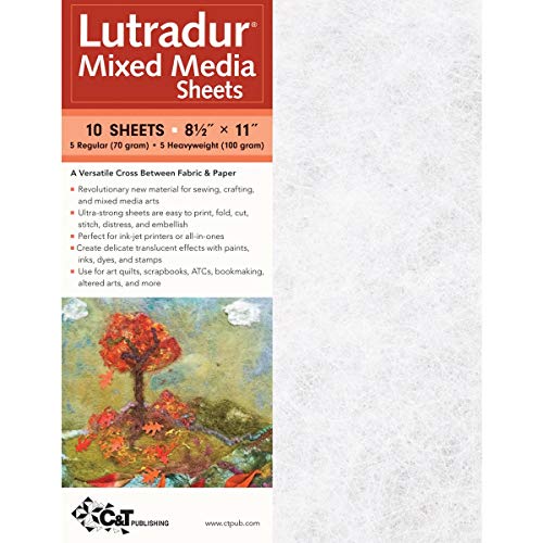 C&T Publishing Lutradur - Vlies Fuer alle Maltechniken und mehr - 10er Pack - 21,5 cm x 28 cm von C&T Publishing