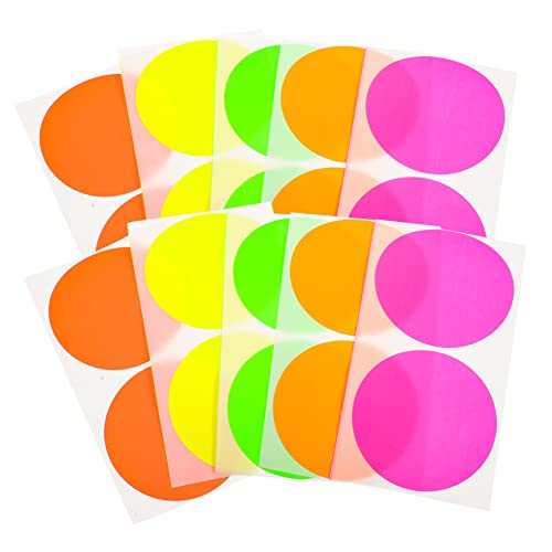 CANIGHT 100st Kreiscodierter Aufkleber Farbpunktaufkleber Farbige Runde Etiketten Farbcodierte Tags Kreis Aufkleber Leere Etiketten Tragbare Kreisetiketten Farbige Etikettenaufkleber Pvc von CANIGHT