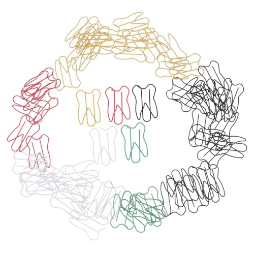 CANIGHT 50 Stück Büroklammern aus Metall Foto Zahn Büroklammern Fan-Shop Büroklammerhalter für Waschbecken Stift Zahnförmige Büroklammern Cartoon Büroklammern Notizklammern Partygeschenk von CANIGHT
