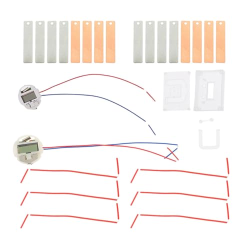 CAXUSD 2 Sätze Fruchtbatterie-experiment Fruchtbatterien Material-kits Hausgemachte Bausätze Elektronische Batterien Studenten-kits Entfernbare Ordner Buchbinder Ringbücher Metall von CAXUSD