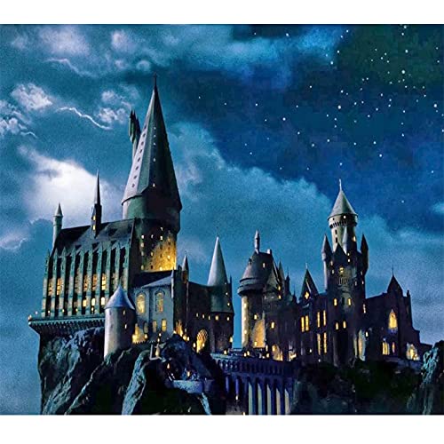 CAYUDEN Diamond Painting Kinder, 30 x 40cm 5D Diamant Painting Kit Bilder DIY Schloss Diamond Painting Erwachsene Kinder Vollbohrdiamant Art Landschaft 5D Diamond Painting Set für Kinder Erwachsene von CAYUDEN