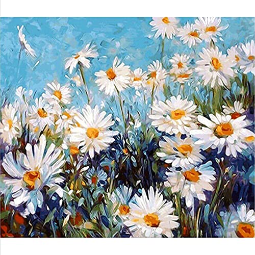 CAYUDEN Malen nach Zahlen für Erwachsene, 40 x 50 cm Acrylfarben nach Zahlen für Erwachsene Anfänger Kinder Malset mit 3 Pinseln Aquarellfarben Gänseblümchen Blumen Paint by Number Kit for Kids Adult von CAYUDEN