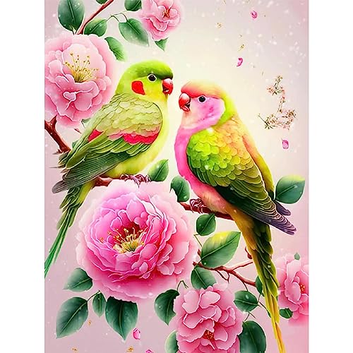 5D DIY Diamond Painting Vögel,30x40 cm,Diamant Dots Art Kits Erwachsene Kinder,Blumen Diamond Painting Bilder Diamant Malerei Set für Wanddekoration von CEOVR