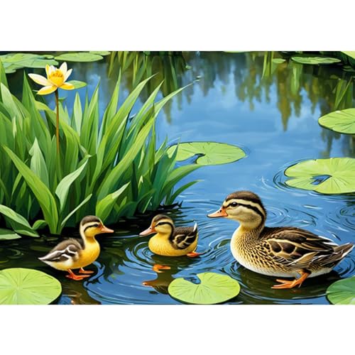 CEOVR 5D Diamond Painting Erwachsene Tiere Diamant painting Erwachsene,Enten Diamond Painting Set Erwachsene,30x40 cm Diamond-painting Pictures Enten im Teich,Embroidery Painting Kits von CEOVR