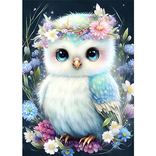 CEOVR Diamond Painting Adult Eule 5D Diamond Painting Bilder Set,Vogel und Kranz Diamant Painting Art Kit,30x40 cm Diamond-painting,Painting Decorations, von CEOVR