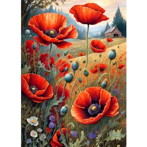 CEOVR Diamond Painting Erwachsene Mohnblumen 5D Diamond Painting Bilder Erwachsene,DIY Diamond-painting,Diamond Painting Set für Dekoration,30x40 cm,für Zum Märtyrergedenktag von CEOVR