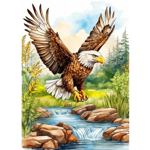 CEOVR Diamond Painting Kit Erwachsene Adler Diamond-painting,30x40 cm Diamant Paintings Kit,5D DIY Diamond Painting Bilder Set Landschaft,Crystal Art Set von CEOVR