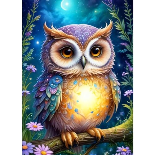 CEOVR Diamond Painting Kit Erwachsene Eule Diamond-painting,30x40 cm Diamant Paintings Kit,Tiere in der Nacht Diamond Painting Bilder Set,5D DIY Diamond Painting Bilder Kit von CEOVR