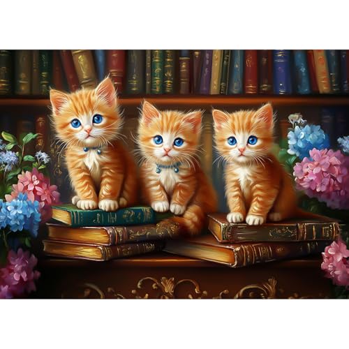 CEOVR Diamond Painting Kit Erwachsene Orange Katze,Diamond-painting,30x40 cm Buch und Bücherregal Diamant Paintings Kit,5D DIY Diamond Painting Bilder Set,Diamond Art Set von CEOVR