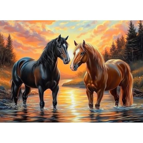 CEOVR Diamond Painting Kit Erwachsene Pferd Diamond-painting,30x40 cmTiere Diamant Paintings Kit,5D DIY Diamond Painting Bilder Set,5D DIY Diamond Painting Sonnenuntergang Bilder Kit von CEOVR