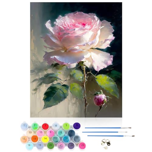 CEOVR Malen Nach Zahlen Erwachsene Kit,Blumen Mal Nach Zahlen für Erwachsene Anfänger,Rosen Paint by Numbers Adult Set,Ohne Rahmen 40x50 cm DIY Painting by Numbers Rosa Blumen von CEOVR