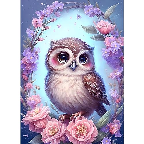 CEOVR Tiere Diamant Painting Bilder Erwachsene Kit,Eule Diamond Painting Bilder 30x40cm,Vögel und Blumen 5D Diamond Painting Art Set für Wand Dekoration von CEOVR