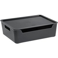 cep Bella Aufbewahrungsbox 9,15 l grau 28,0 x 36,0 x 11,0 cm von CEP