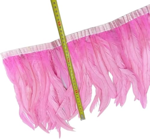 2–5 Meter Fasanenschwanzfedern, Besatz, Fes-Federfedern zum Basteln mit Partykleid, Handarbeiten (Farbe: Lila Federn, Größe: 5 Meter) - 2 Meter - Rosa Federn von CGRYREH