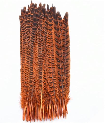 25–30 cm Fasanenschwanzfedern, Federbusch für die Herstellung von DIY-Schmuck, Haarhüte, Handarbeitsdekoration (Farbe: orange Federn, Größe: 50 Stück) – 50 Stück – orange Federn von CGRYREH