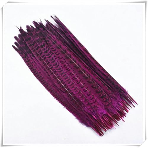 Bunte Federn, Federn für weibliche Fasanenschwänze, Fängerfedern zur Schmuckherstellung, Haar- und Hutherstellung, Basteldekoration, 25–35 cm Federboas (Farbe: 30 35 cm L, Größe: 20 Stück) – 20 von CGRYREH