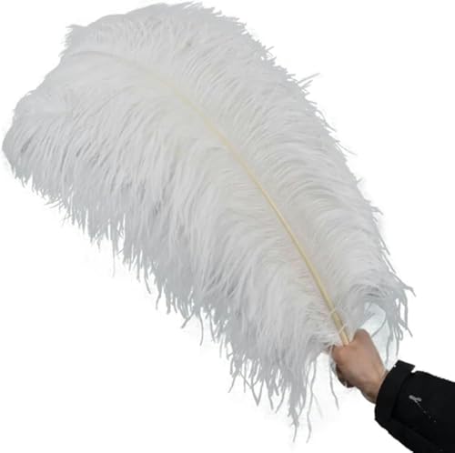 Weiße Straußenfedern zur Dekoration, Straußenfederdekor, Tischdekoration für den Karneval, B 15–70 cm (Farbe: 40–45 cm kleine Stange, Größe: 50 Stück), 10 Stück, 50–55 cm große Stange von CGRYREH