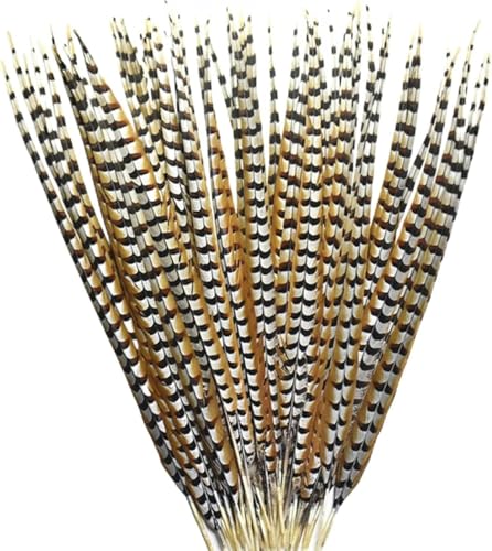 l Seltene Fasanenschwanzfedern zum Basteln, Reeves Venery Fasanenschwanzfedern für Karneval (Farbe: 40–45 cm, 16–18 Zoll, Größe: 10 Stück) – Größe 35–40 cm, 14–16 Zoll von CGRYREH