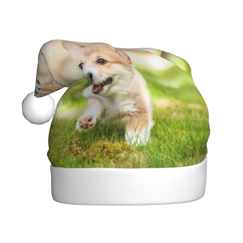 CHANGLEI Corgi Welpen-Weihnachtsmütze für Erwachsene, bedruckt, bequem, klassisch, Plüsch, Weihnachtsmannmütze für Weihnachten, festliche Party von CHANGLEI