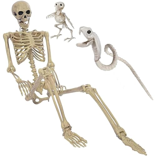 HBSTK 165cm Halloween Skelett Schlange Krähen Lebensgröße Ganzkörper bewegliche Gelenke hängende Requisiten Horror Skeleton von CHBOP