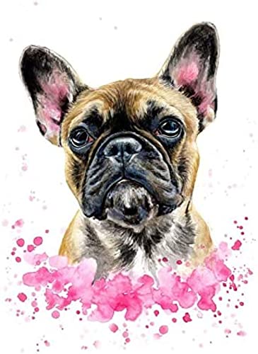 CHEUALY Malen nach Zahlen Kits Aquarell Französische Bulldogge Malen nach Zahlen für Erwachsene und Kinder DIY Ölgemälde Geschenksets 30x40cm von CHEUALY