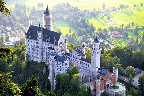 DIY 5D Diamond Painting Kits Schloss Neuschwanstein Diamantmosaik Stickerei Rundbohrer Geschenk 50x60CM von CHEUALY