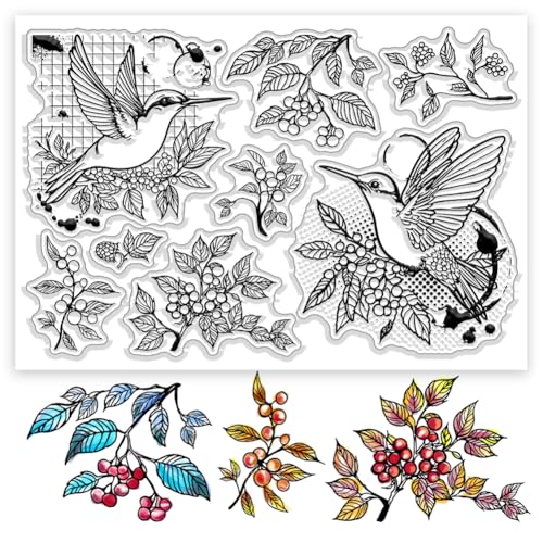 CHGCRAFT Berry Bird Transparent Briefmarke Vintage Transparent Silikon Briefmarke DIY Clipbook Lieferungen Karte Fotoalbum Dekoration, Druck Papier Handwerk, 6.3x4.3 Zoll von CHGCRAFT