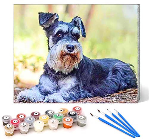 DIY Malen nach Zahlen-Ölgemälde Geschenk für Erwachsene Kinder Haustier Hund Schnauzer Malen Nach Zahlen Kits Wohnzimmer Schlafzimmer Wanddekoration 16 * 20inch(Rahmenlos) von CHKNUJY