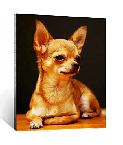 Malen nach Zahlen süßes haustier hund chihuahua tier Für Erwachsene und Kinder DIY Ölgemälde Geschenk-Kits Vorgedruckte Leinwand Kunst Home Decoration 16x20 Zoll rahmenlos von CHKNUJY