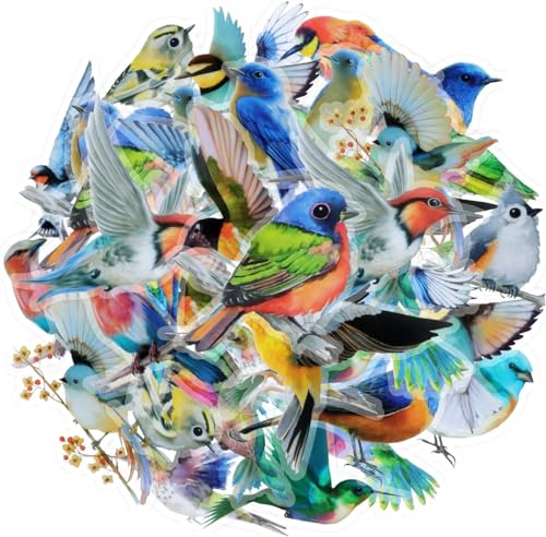 40 Stück Kleine Vogel Aufkleber, Transparente Vögel Scrapbook Stickers, Wasserdicht Scrapbooking Sticker Vögel, PET Bunte Vögel Sticker für Tagebücher, Laptop, Gepäck, Wand, Scrapbooking, Handyhülle von CHONGQILAO