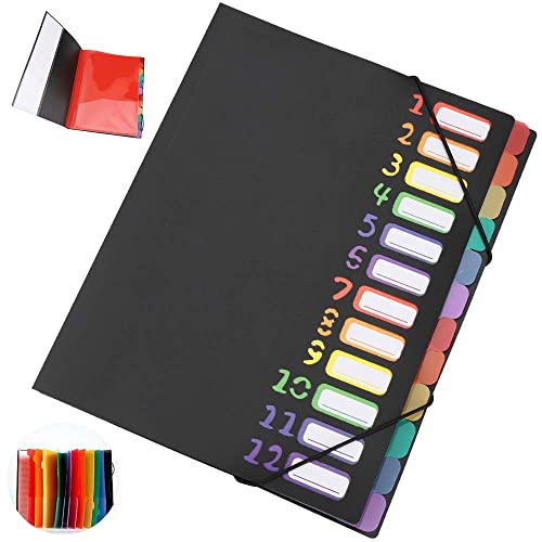 Document Folder A4, 12 Compartments Expanding File Sorting Folder Colourful File Folder Rainbow Lever Arch Folder Accordion Design A4 Size Large Capacity Waterproof for Business Incidents, Home Use von Generic