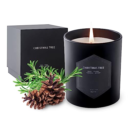 CHUN YI Duftkerzen im Glas groß vegane Sojawachs Duftkerze mit bis zu 70 Stunden Brenndauer, Cinnamon und Zedernholz Kerze Scented Candle mit hochwertigem Duftöl von CHUN YI