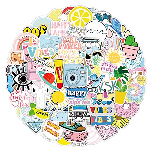 CIOUYAOS 100 Stück Sticker Set, Aesthetic Vintage Deko DIY Schöne Wasserfeste Vinyl Aufkleber for Auto Laptop Skateboard Fahrrad Decoration Mädchen Kinder School Stuff (Coole) von CIOUYAOS