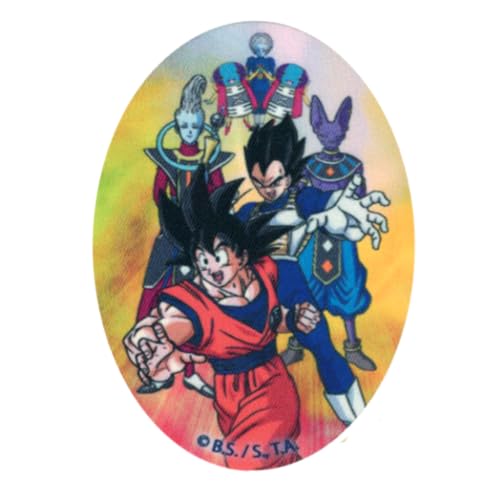 COMERCIAL MERCERA, Dekorativer Aufnäher zum Aufbügeln, Dragon Ball, Thermo-Knieflicken Dragon Ball zum Reparieren von T-Shirts, Jacken, Hosen, 100% Polyester, 11x8 cm (Dragon Ball-Gruppe) von CMM COMERCIAL MERCERA